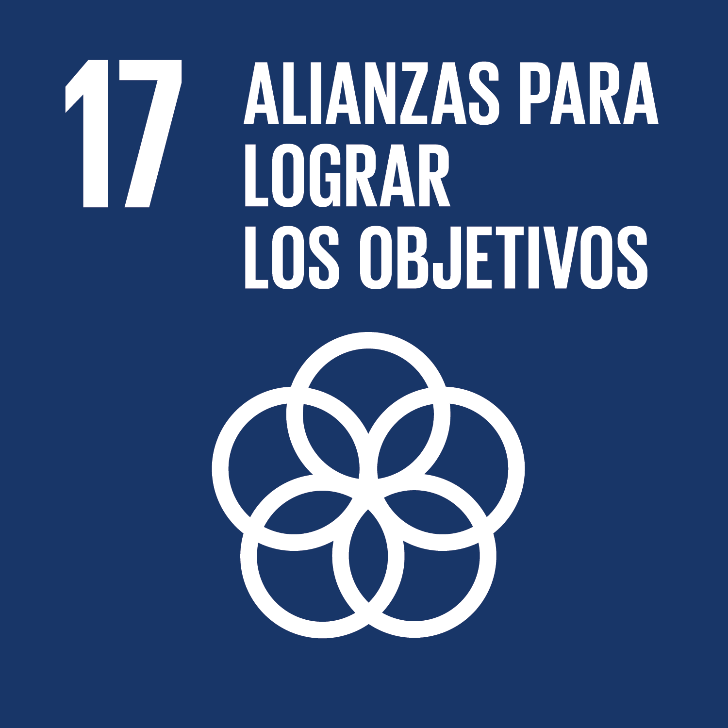 ods-objetivos-desarrollo-sostenible-17
